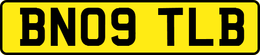 BN09TLB