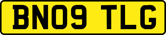 BN09TLG