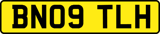 BN09TLH