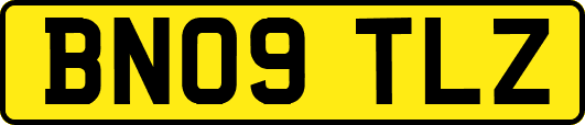 BN09TLZ