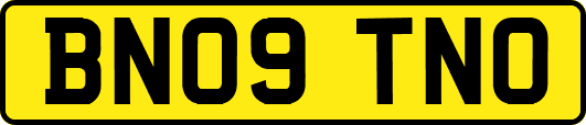 BN09TNO