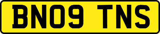 BN09TNS