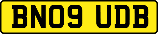 BN09UDB