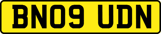 BN09UDN