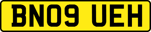 BN09UEH