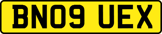 BN09UEX