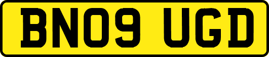 BN09UGD