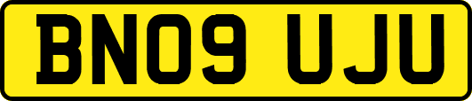 BN09UJU