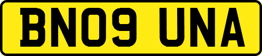 BN09UNA