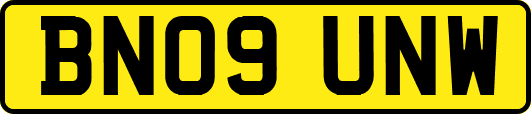 BN09UNW