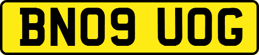 BN09UOG