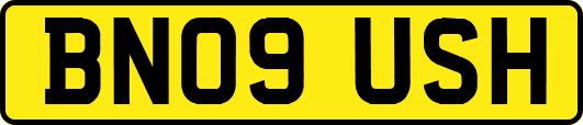 BN09USH