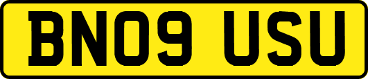 BN09USU