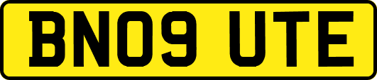 BN09UTE