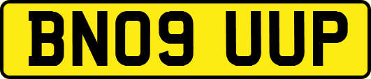 BN09UUP
