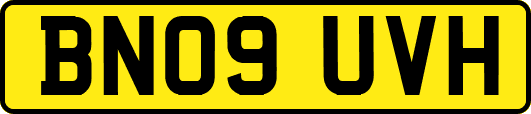 BN09UVH