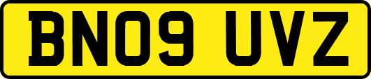 BN09UVZ