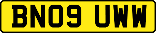 BN09UWW