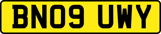 BN09UWY