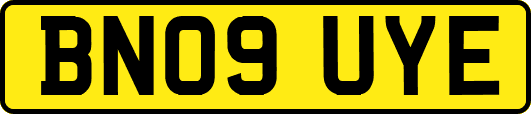 BN09UYE