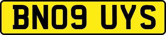 BN09UYS