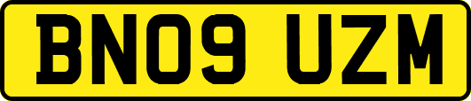 BN09UZM