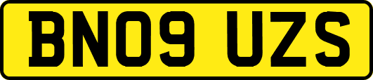 BN09UZS