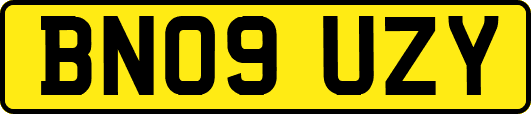BN09UZY