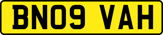 BN09VAH