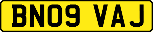 BN09VAJ