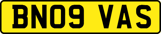 BN09VAS
