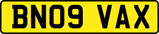 BN09VAX