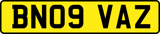 BN09VAZ