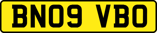 BN09VBO