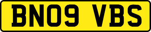 BN09VBS