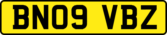 BN09VBZ