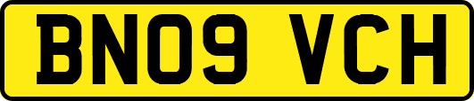 BN09VCH