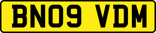BN09VDM