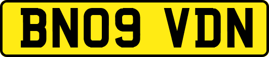 BN09VDN