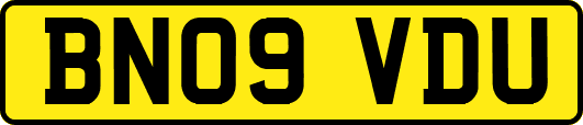 BN09VDU