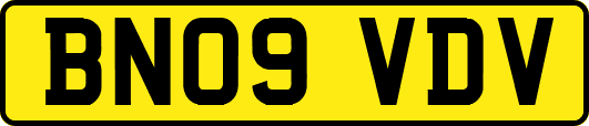 BN09VDV