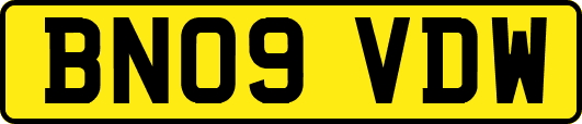 BN09VDW