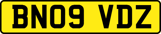 BN09VDZ