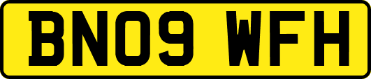 BN09WFH