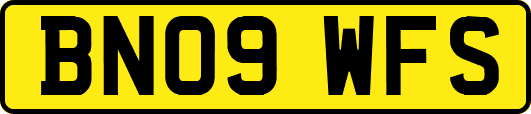BN09WFS