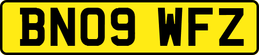 BN09WFZ