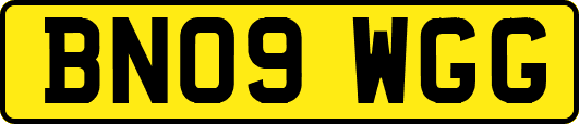 BN09WGG