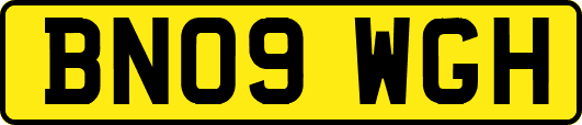 BN09WGH