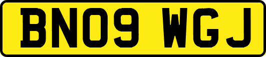 BN09WGJ