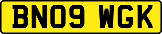 BN09WGK